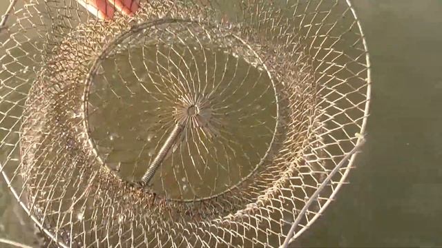 КАРАСИ ЛЕТОМ на поплавочную удочку. ЛОВЛЮ на ПОПЛАВОК. Рыбалка 2020 смотреть онлайн