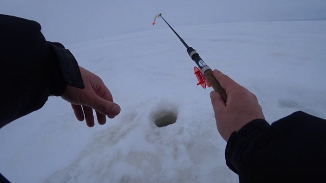 Рыбалка на тюльку. Ловля берша, судачка. Рыбалка на водохранилище. смотреть онлайн