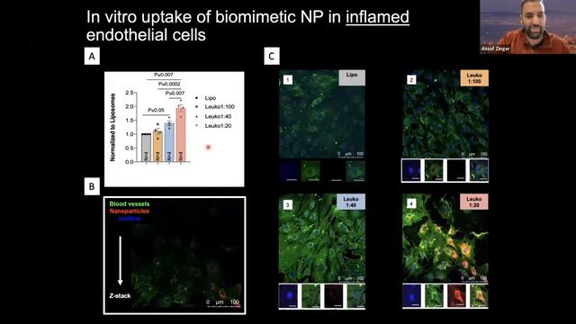 From Drug Delivery to Cellular Communication, Cellular Targeting the Cells Ways смотреть онлайн