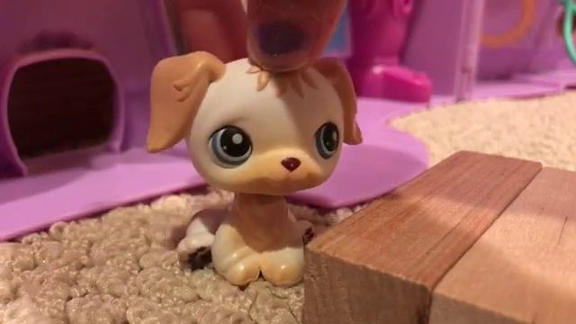 Lps Magical Mystery's Ep1 Boarding School смотреть онлайн