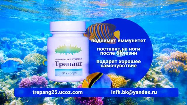Трепанг морепродукт сушеный смотреть онлайн