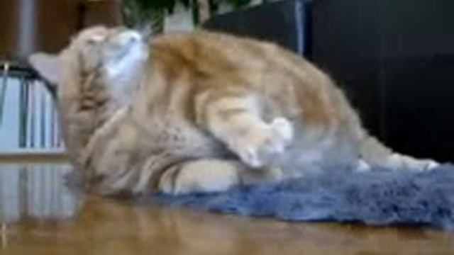 Phoenix (Arizona) Lexus Auto Warranty - Turn Key Auto Group Vehicle Service Contracts (VSC) смотреть онлайн