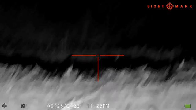 Coon And Possum Control, Savage Bmag  17wsm Topped With Sightmark Wraith 2-16x28, SHL Coyote Cannon