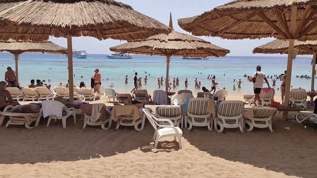 Пляж отеля Faraana Reef 4* , анимация и шоу с юбками .