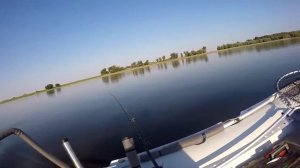 Троллинг в один спиннинг  Советы бывалых  Ловля судака, ловля троллингом, ловля на дорожку