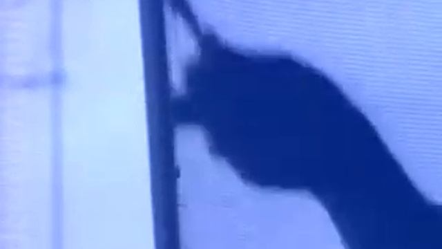 И еще раз слова против абортов с историей смотреть онлайн