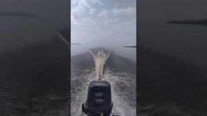 Легант-340