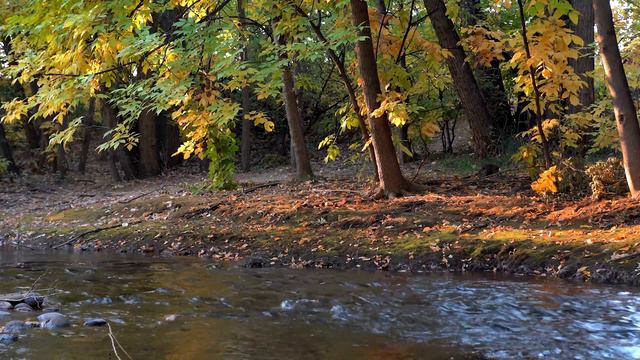 La Magia De La Flauta Curativa Tibetana - Adiós a La Lasitud, Elimina La Negatividad Subconsciente смотреть онлайн