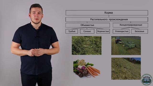 1 2 Классификация кормов смотреть онлайн
