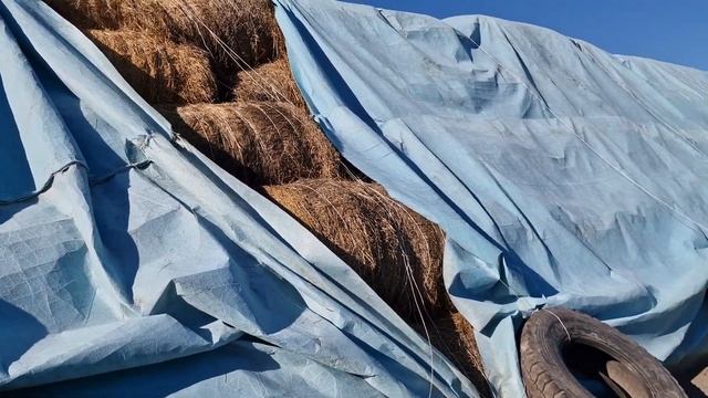Как хранить сено/солому. #Агролайфхак из Агро-Н смотреть онлайн