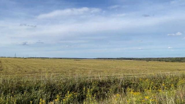 Вкусно есть Красиво Гулять в Глэмпинге с панорамными окнами. Экоотель Glampi Большая поездка день 2 смотреть онлайн