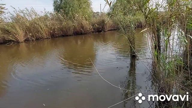 Рыбачу 3-ий день. Кормлю семью. смотреть онлайн