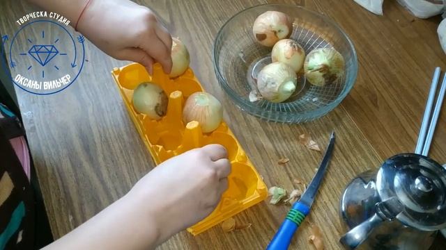 Как вырастить зеленый лук без земли How to plant green onions without land смотреть онлайн