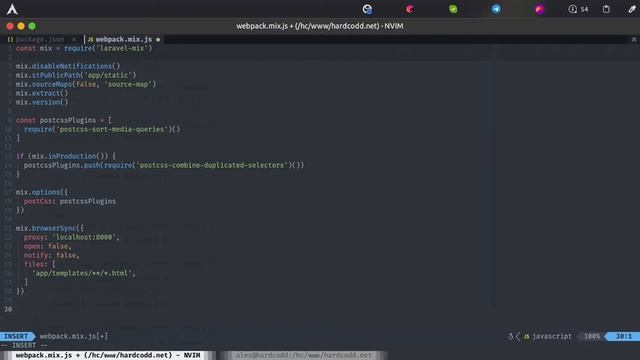 Установка и настройка laravel-mix | django + laravel-mix | Делаю себе сайт #2 смотреть онлайн