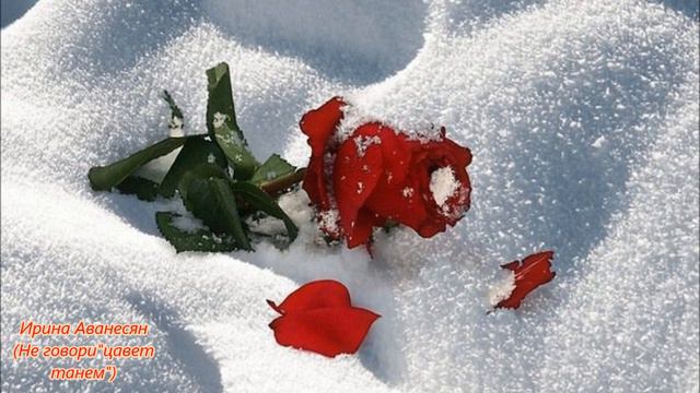 Слова и музыка Ирина Аванесян- Не говори "Цавет танем"(дуэт с Мишей Базиянц) смотреть онлайн