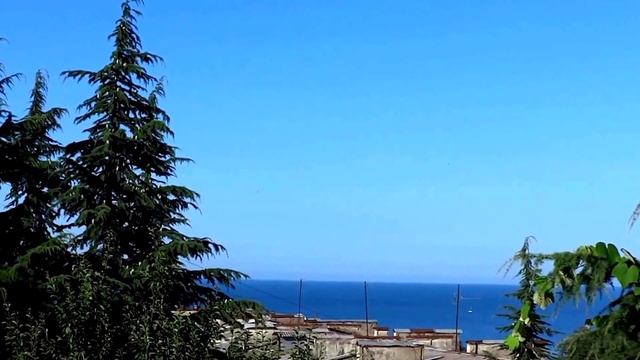 Погода 11 июля t +22°C, вода t +25°C. Цветы в Лазаревском, SOCHI - RUSSIA смотреть онлайн
