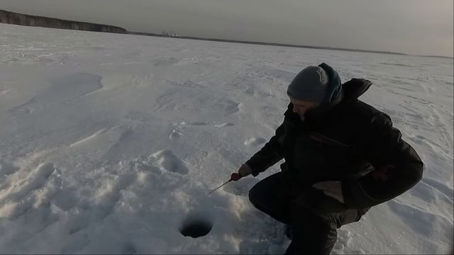 БЕЛОЯРКА. ЧЕРЕМШАНКА. ОКУНЬ. ИЩЕМ ЛЕЩА НА 12М смотреть онлайн