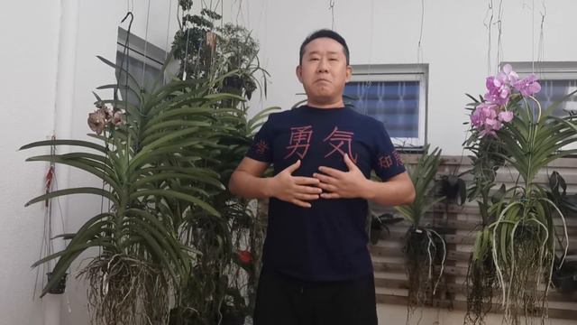 ANTIGO SEGREDO TAOISTA - #QIGONG DE 6 SONS - QI GONG PARA RINS | Peter Liu смотреть онлайн