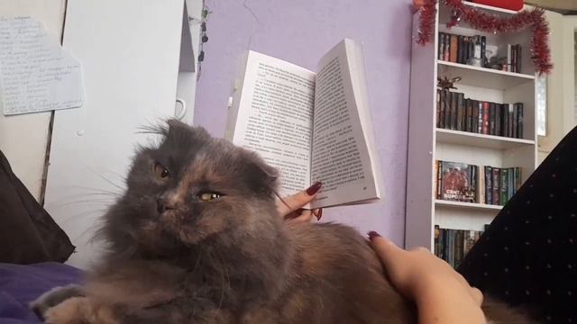 марафон эксклюзивной классики || день триффидов // день 3-4 смотреть онлайн