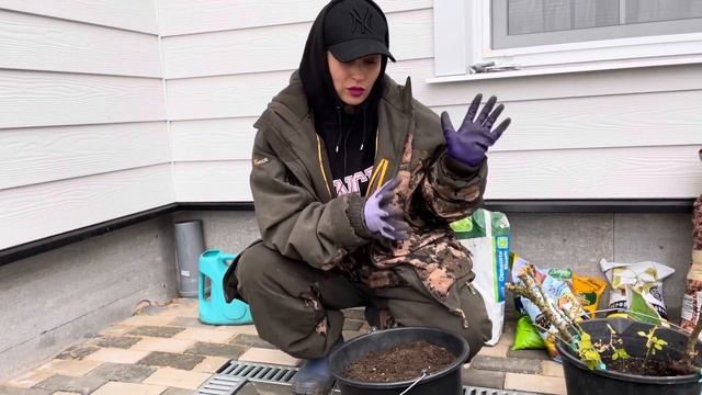 Про грунт для роз смотреть онлайн