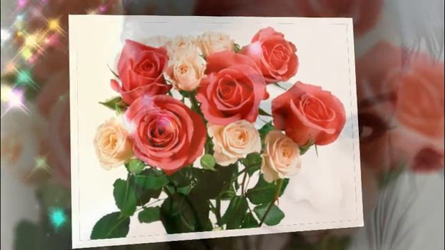 Проект Чёрная смородина avi смотреть онлайн