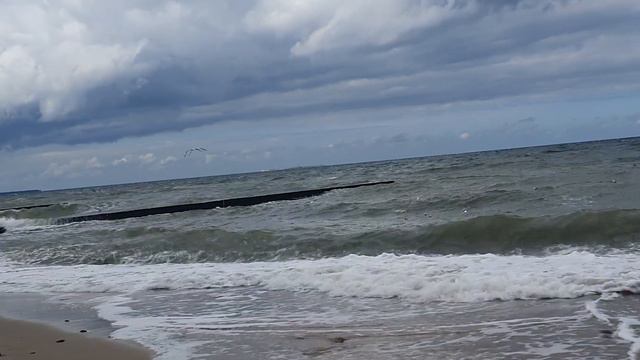 *:･ﾟ✧ life ep.1: калининград: море и вкусные булочки смотреть онлайн