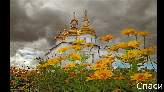 Душа Человеческая и Души Животных. Ответ Священника Григория Дьяченко смотреть онлайн