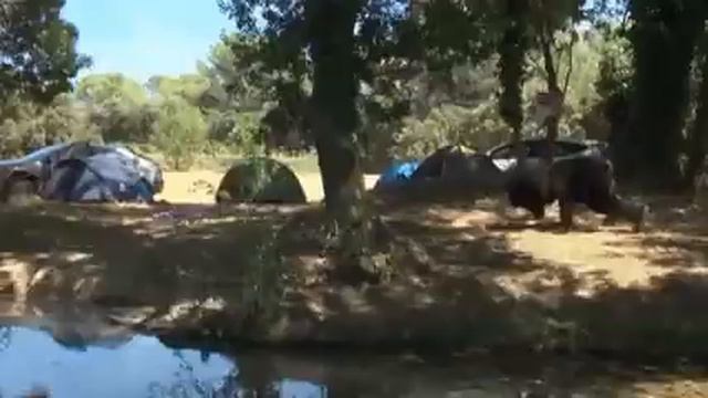 Прикол про медведя смотреть онлайн