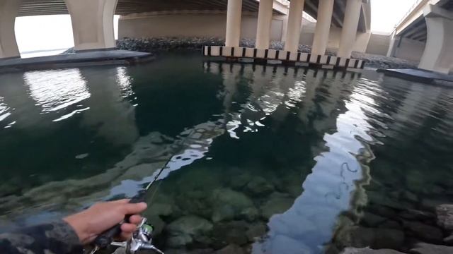 Sea bream bite Duo Spearhead Ryuki lure 4G,Storm AdventureX 66SUL 1-5G, StradicFl 1000Hg, YGK 6Lbs смотреть онлайн