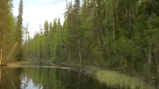 Озеро Черное. Уже история. смотреть онлайн