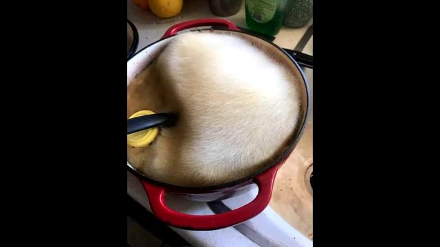 Кухонный лайфхак смотреть онлайн