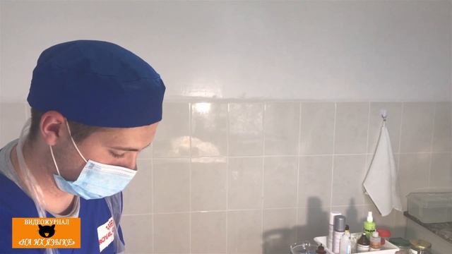 Спецвыпуск!!! Ложная беременность!!! Ветеринария смотреть онлайн