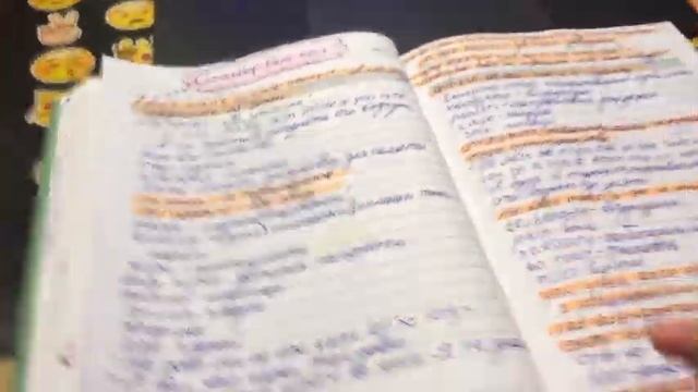 VLOG#2|| Гуляю с собакой, study with me, мой уход за лицом смотреть онлайн