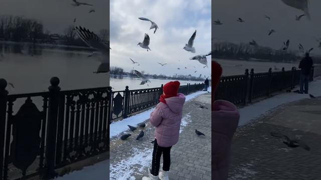 Краснодар юбилейный река Кубань смотреть онлайн