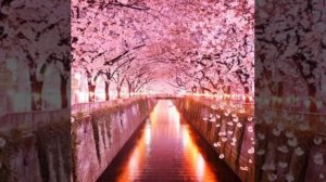 Спокойная китайская музыка ???