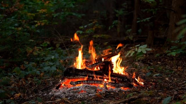 ? Campfire at Night in the Autumn Forest 4K ULTRA HD! Cozy Bonfire with Fire & Nature Sounds смотреть онлайн