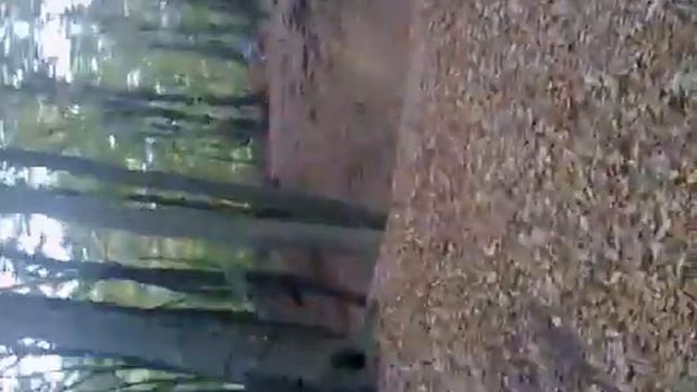 Mountainbike @ Ibbenburen 1