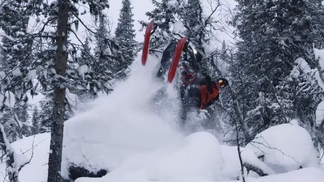 Lynx BoonDocker RE / Lineup 2019 смотреть онлайн