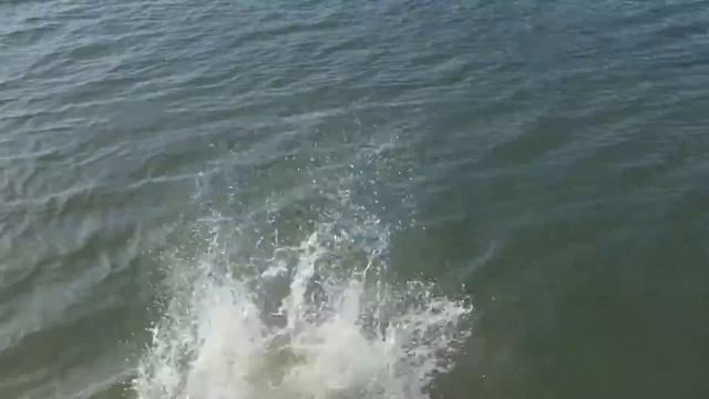 Добби свободен 1.4 смотреть онлайн