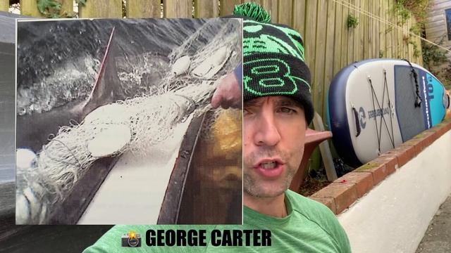 Great White Shark SIGHTINGS in British Seas!! смотреть онлайн