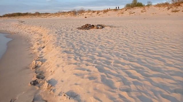 Закат на Балтийском море. Поиски янтаря. смотреть онлайн