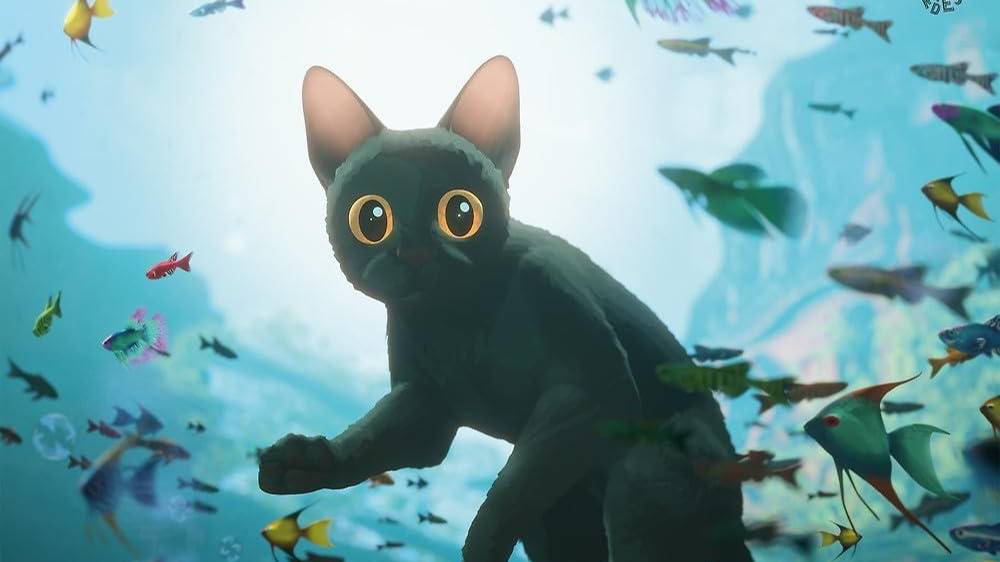 Флоу - Flow смотреть онлайн