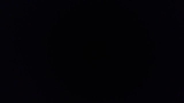 И. О. Дунаевский. 