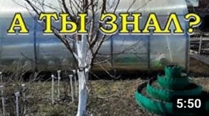 Наводим ПОРЯДОК на участке: первые работы ВЕСНОЙ ???