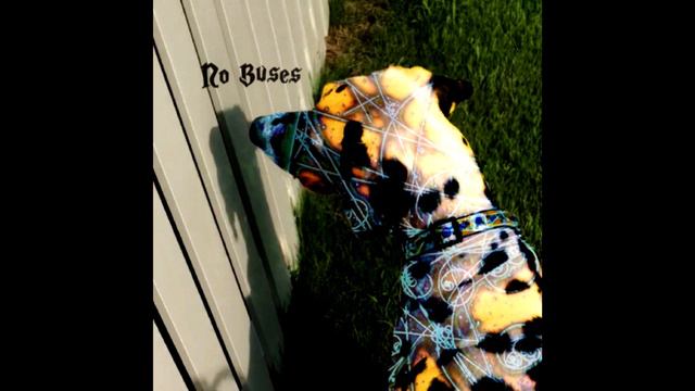 No Buses - In Stomach смотреть онлайн