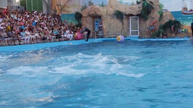 Дельфинарий НЕМО Одесса часть 4 смотреть онлайн
