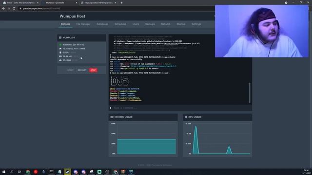 Wumpus Hosting Guide (Free Discord Bot Hosting) смотреть онлайн