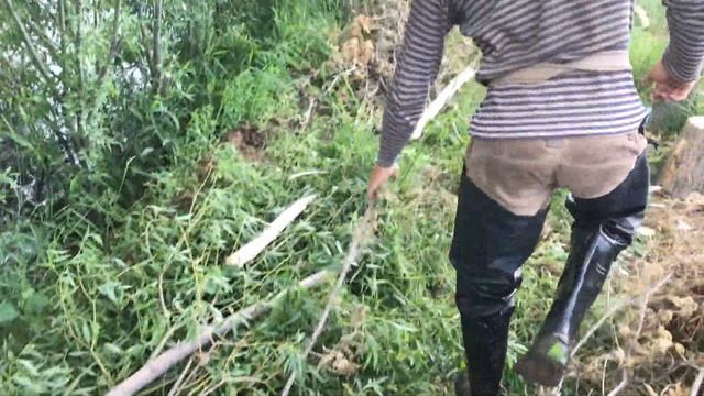 Фитнес есть просто ничто по сравнению с жизнью в Потеряевке. 23 июня, 2021 смотреть онлайн