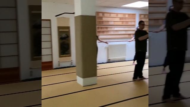 Tai Chi Köln - Hunyuan Tai Chi Chansigong Training