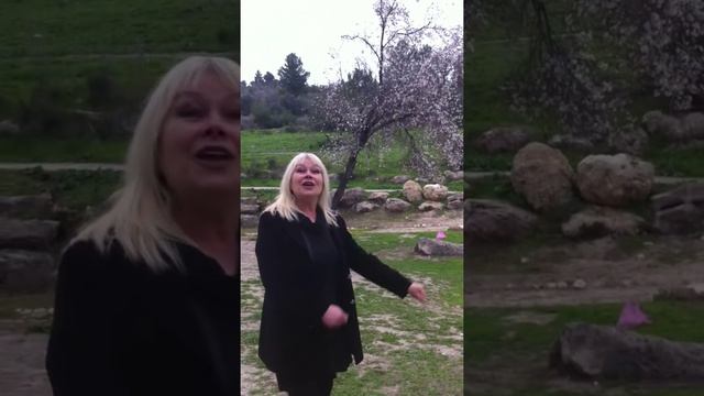 "Вишня". М.Исаковский. смотреть онлайн